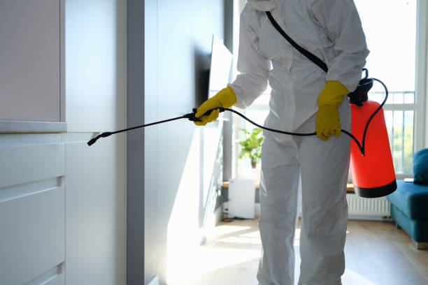 Best Home Mold Removal  in South Euclid, OH