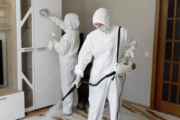 Mold Removal and Inspection in South Euclid, OH